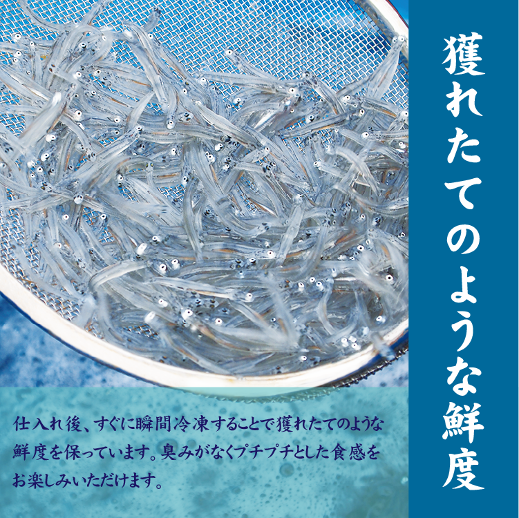 湘南しらす3色セット　生しらす・沖漬しらす・釜揚しらす　各100ｇ 3種入（通常発送(巾着のみ））