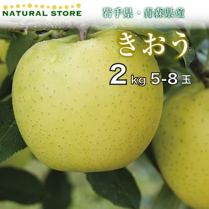 [最短順次発送] きおう 5玉-8玉（大玉）2キロ箱 化粧箱 りんご 長野県産 青森県産 岩手県産