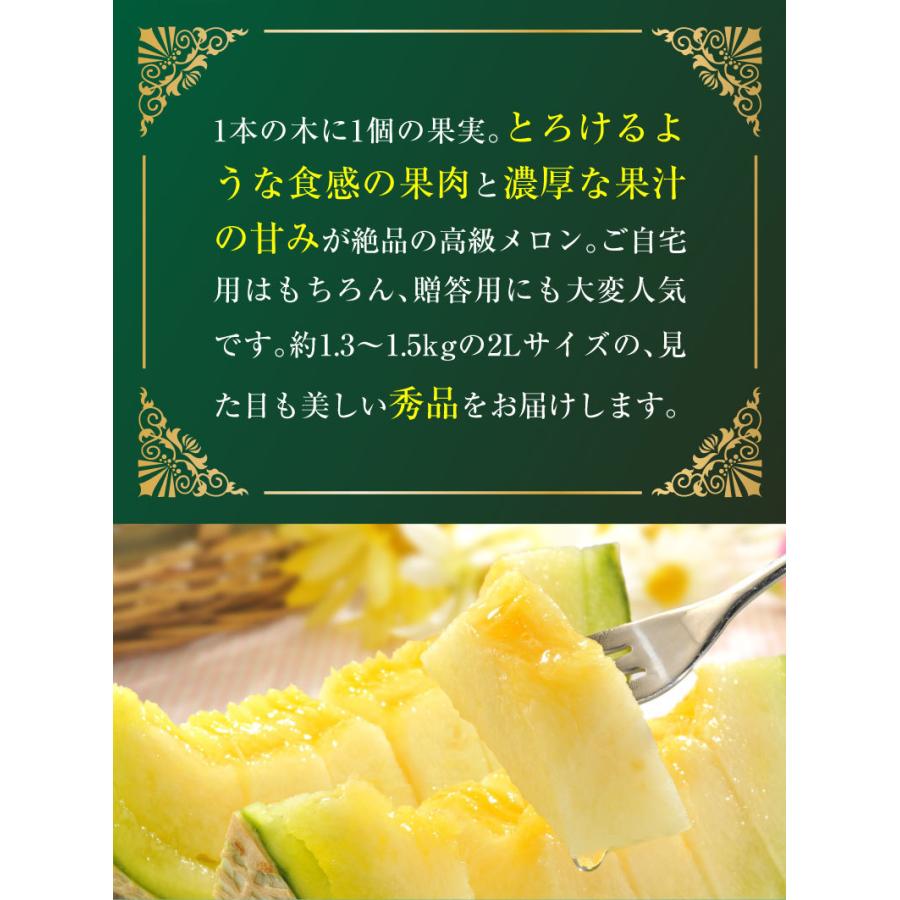 御中元 九州  メロン アールスメロン 秀品 ２L ２玉 熊本県産 温室 送料無料 高級メロン 産直 フルーツ 果物 甘い S常