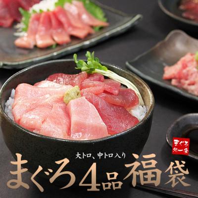 ふるさと納税 いわき市 まぐろ4品福袋　本マグロの大トロ、中トロ、天然マグロのづけネギトロ