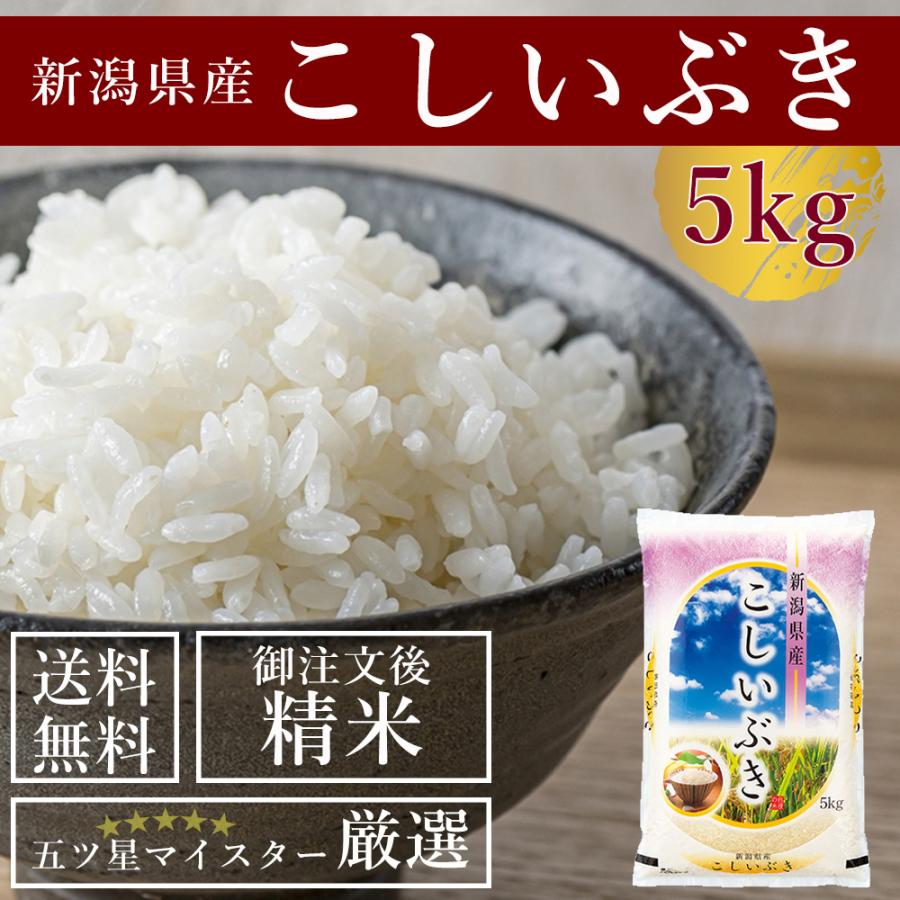 受注精米 新潟県産 新米  令和5年産 こしいぶき 5kg お米 送料無料 白米 2023年