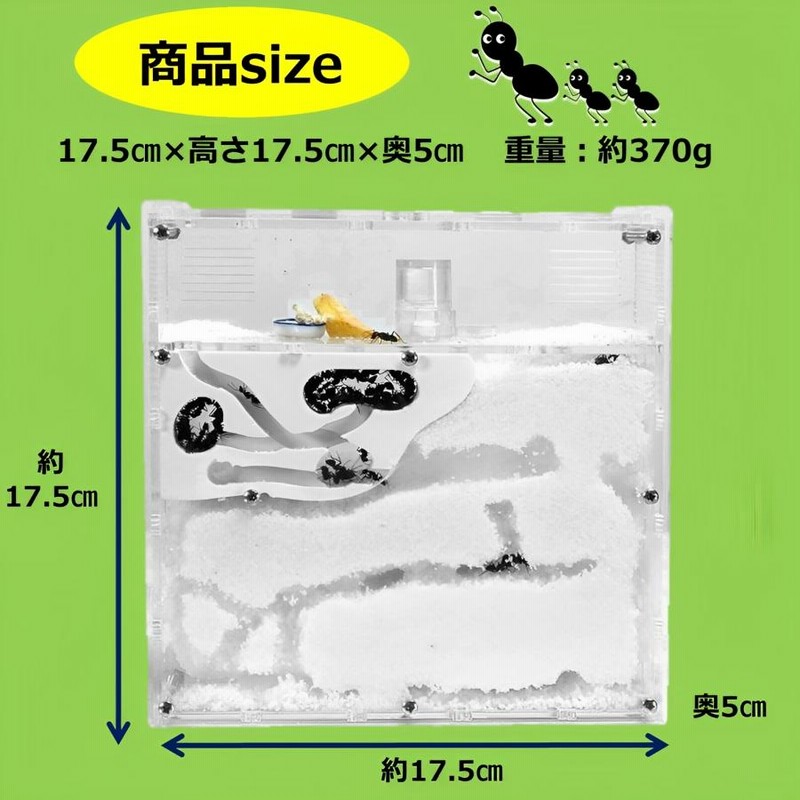 アリの巣 観察 飼育 キット 砂は別売 蟻 アリ飼育キット 飼育
