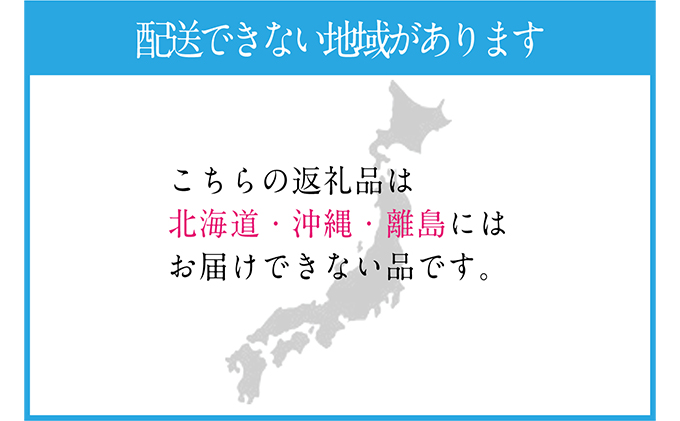 ぶどう 2024年 先行予約 9月・10月発送 シャイン マスカット 晴王 2房（合計約1kg） ブドウ 葡萄  岡山県産 国産 フルーツ 果物 ギフト