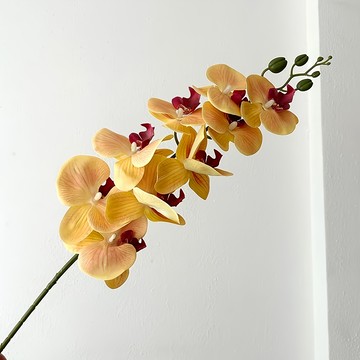 KUIBAO 快豹生活 Orchid 九頭膠片蝴蝶蘭仿真花  黃色  6支