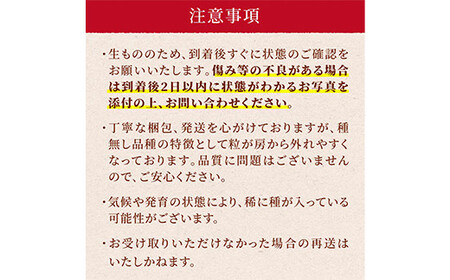 ≪先行予約≫ご家庭用 2024年 山形県 高畠町産 シャインマスカット 粒詰合せ 800g以上(400g×2) 2024年9月下旬頃から順次発送 ぶどう ブドウ 葡萄 マスカット 大粒 種なし 高級 くだもの 果物 フルーツ 秋果実 産地直送 農家直送 数量限定 ご自宅用 訳あり 粒 つぶ 詰合 宝石 F20B-607  次へ        寄付金額