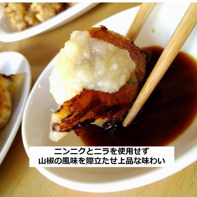 ふるさと納税 白老町 北海道白老町　だぶだぶの肉汁をすすりたくなる餃子　60個(30個入×2P)