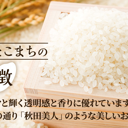 定期便 無洗米 令和5年産 あきたこまち 10kg 5kg×2袋 6ヶ月連続発送（合計 60kg） 秋田食糧卸販売