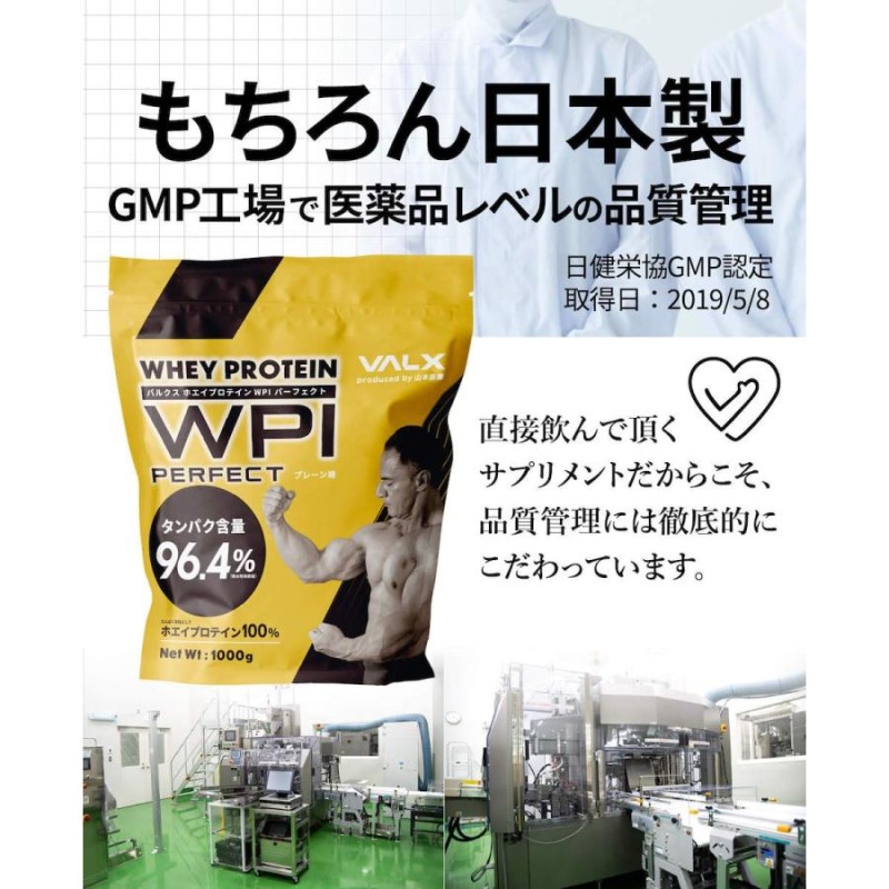 VALX (バルクス) ホエイプロテイン WPI パーフェクト 山本義徳 監修 