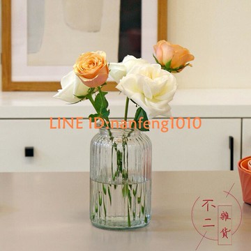 花瓶擺件客廳插花玻璃透明干花北歐滿天星鮮花花器水養簡約【不二雜貨】