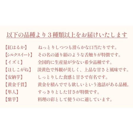 ふるさと納税 さつまいも詰め合わせ5kg（3種以上 何が届くかはお楽しみ） 富山県 氷見市 さつまいも サツマイモ 詰め合わせ 富山県氷見市