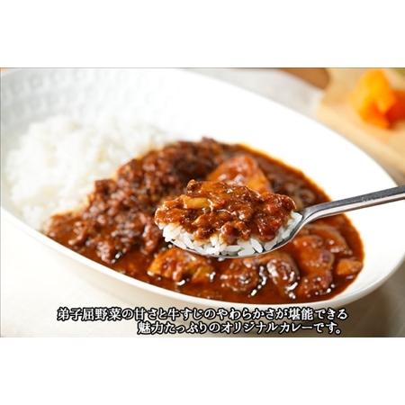 ふるさと納税 778.牛すじカレー 5個 中辛 じゃがいも 牛 牛肉 肉 業務用 レトルトカレー 保存食 備蓄 まとめ買い 北海道 弟子屈町 北海道弟子屈町