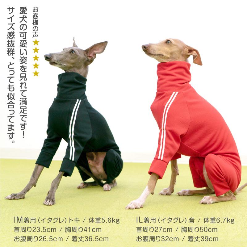 ドッグプレイ(R)体操服ジャージつなぎ(中型犬用)犬の服 洋服 ペット ドッグ ウェア コーギー 柴犬 秋冬 遊び着