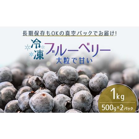 ふるさと納税  冷凍ブルーベリー500g×2パック（合計1kg） 秋田県男鹿市