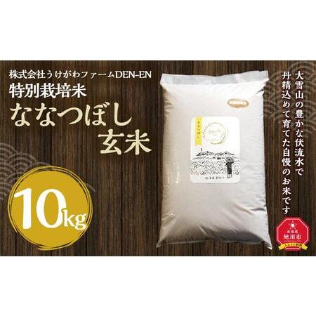 ふるさと納税 特別栽培米　ななつぼし玄米　10kg　令和5年産　新米 北海道旭川市