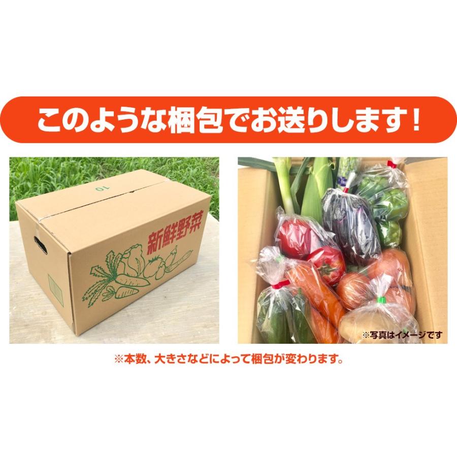 福島県産 野菜7品種詰め合わせ　無農薬 無化学肥料栽培の新鮮野菜を産地直送