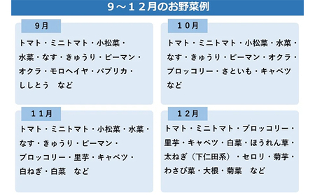 新鮮野菜セット大（11種類）