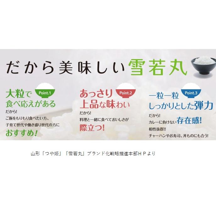 山形県庄内産 雪若丸 白米 5kg  令和5年産