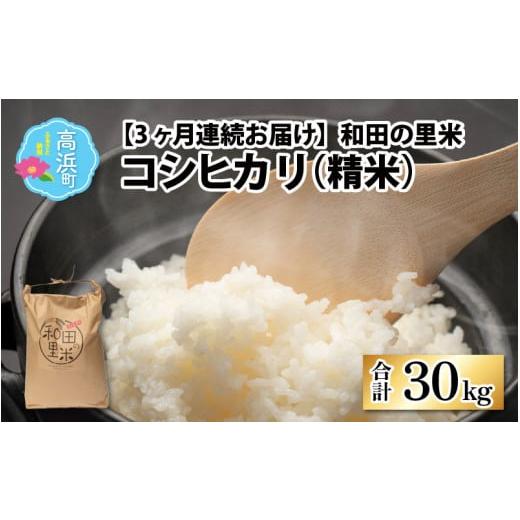 ふるさと納税 福井県 高浜町 和田の里米 コシヒカリ 白米(精米) 10kg×3回 計30kg