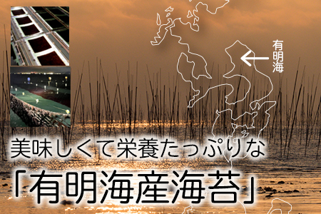 有明海産 焼き海苔 10枚×10P 株式会社羽根《60日以内に順次出荷(土日祝除く)》熊本県産 焼きのり 乾のり のり 海苔 有明海苔---sn_hnyknori_60d_22_12000_10p---