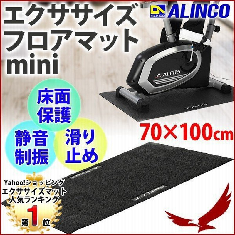 レビュー高評価の商品！ [Senoh] エクササイズマット トレーニング用品 - wikitest.esn-spain.org