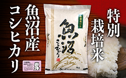 魚沼産特別栽培米コシヒカリ　10kg