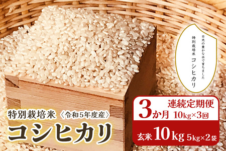 [3か月連続定期便(10kg×3回)] 令和5年度産 特別栽培米 コシヒカリ 玄米10kg(5kg×2袋)｜数量限定 お米 こしひかり 国産 日光産 産地直送 [0317]