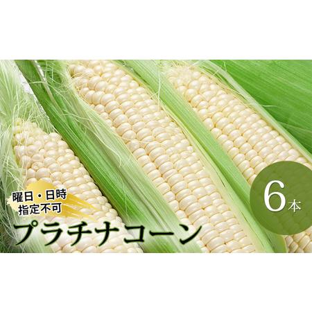 ふるさと納税 北海道月形町産　石川さんちのプラチナコーン6本 北海道月形町