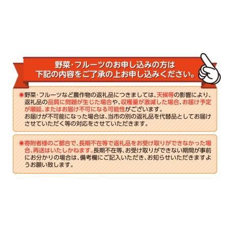 ふるさと納税 予約受付  みかん 青島 3kg 減農薬 送料無料 西浦 蜜柑 柑橘 オレンジ 静岡県沼津市