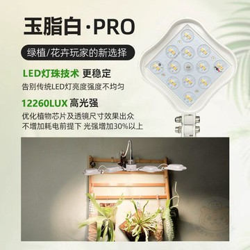 🛒下單立享優惠植物補光  燈  防太陽全光譜室內綠植盆栽花卉家用多肉生長led夾子  燈