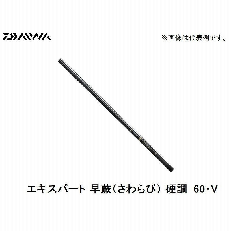 ダイワ早蕨エキスパート超硬53改竹の子竿黒鯛 - ロッド