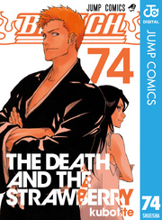 BLEACH モノクロ版　全巻セット