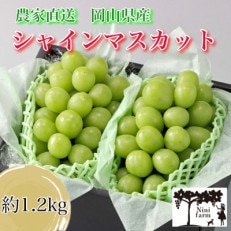 味のこだわり　岡山県農家直送　高品質シャインマスカット2房詰約1.2kg