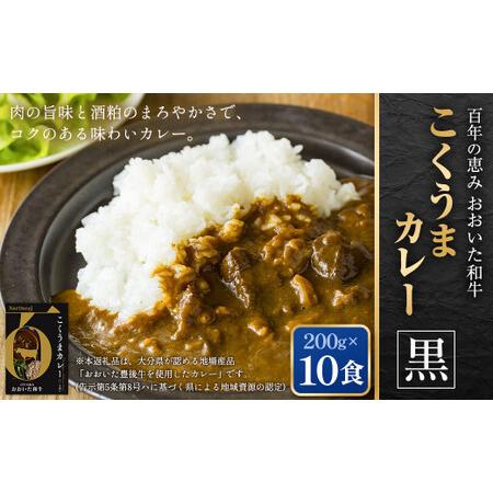 ふるさと納税 百年の恵み おおいた和牛こくうまカレー(黒) 10個セット 大分県竹田市