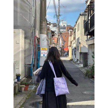 ins風日韓清新浪漫高級感刺繡字母帆布包小眾大容量單肩腋下包包