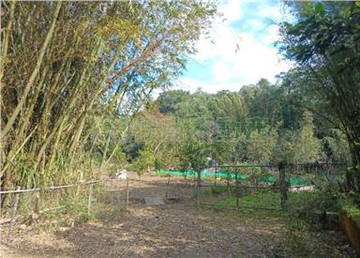 ✨大溪聚賢財神爺旁農地｜桃園市大溪區復興路二段