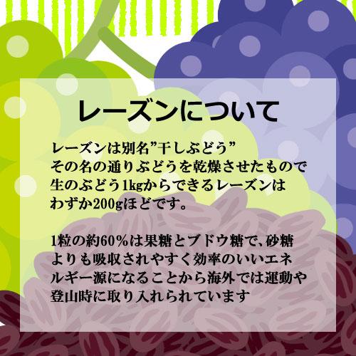 ミックスレーズン 600g ドライフルーツ 江戸屋 ダイエット 健康