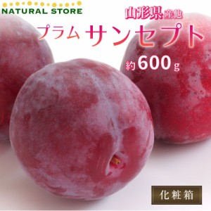 [予約 2023年9月1日-10月30日の納品] プラム すもも サンセプト 約600g 山形県産ほか さんせぷと プラム 果実専用化粧箱 300g × 秋ギ