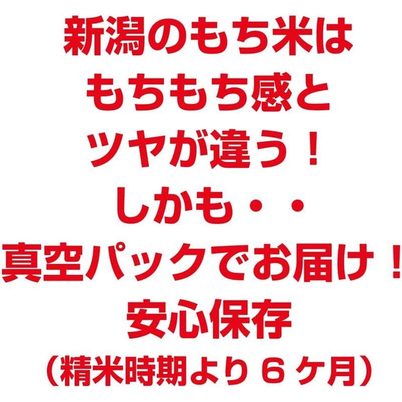 もち米 米 こがねもち 新潟県産 10ｋｇ （5ｋｇ×2） 令和5年産 餠米 真空パック