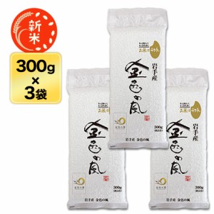 新米 令和5年(2023年) 岩手産 金色の風 300g(2合) × 3パック 真空パックお米 米