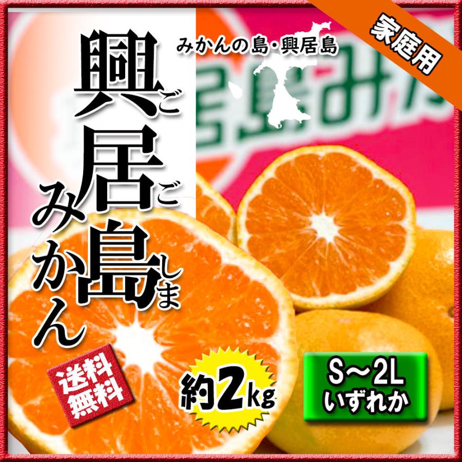 みかん 箱買い 興居島みかん 興居島 みかんの島 2S〜2L 家庭用 約2ｋｇ 送料無料 愛媛みかん