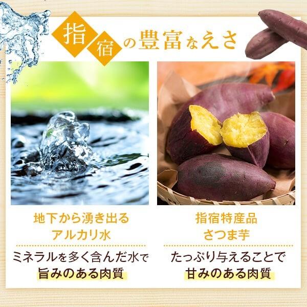 2023 お歳暮 ギフト グルメ 黒豚 出汁しゃぶ かごしま黒豚 豚肉 鹿児島 ロース300g バラ300g 黄金濃縮だし付き