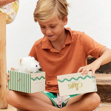 B.T. Chaps｜蘇格蘭梗犬盒裝玩偶-提摩希 17cm