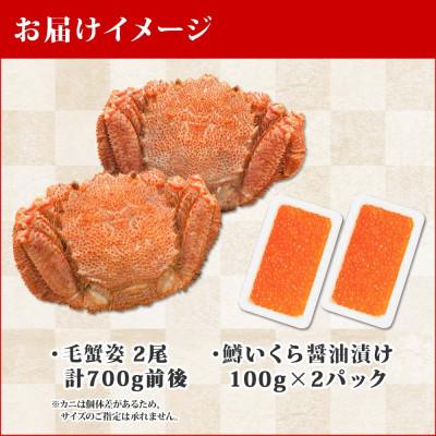 ふるさと納税 弟子屈町 毛蟹 2尾 約700g 鱒いくら醤油漬け 200g 蟹ハサミ・ガイド付き 北海道 弟子屈町 1372