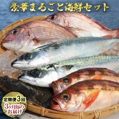 豪華まるごと海鮮セット[No.5296-0118]