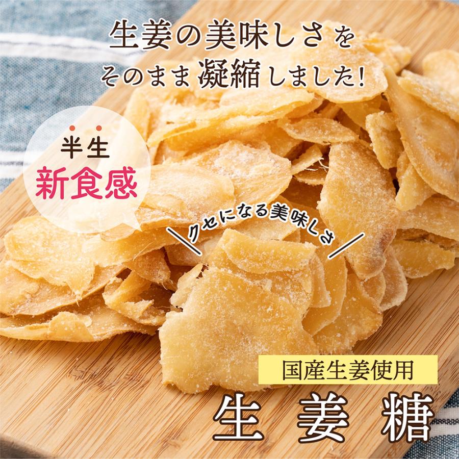 ドライフルーツ 高知県産 生姜糖 500g 送料無料 国産 しょうが ショウガ 生姜 お試し