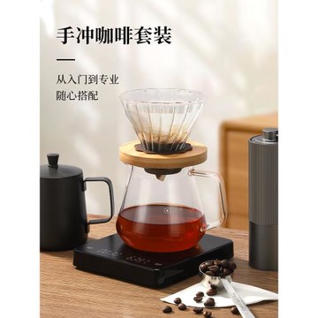 手沖咖啡壺套裝咖啡濾杯家用玻璃過濾器濾網滴漏式冷萃杯咖啡器具