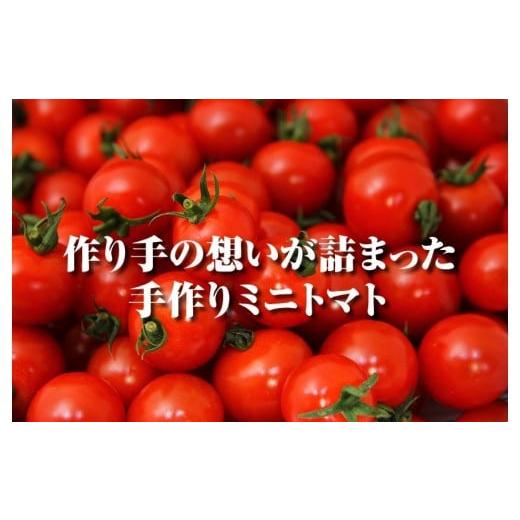 ふるさと納税 熊本県 玉名市 ソムリエミニトマト・プラチナ(3kg)