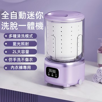 迷你脫水洗衣機 迷你洗衣機 多种洗衣模式 內褲襪子洗衣杯  2L大容量 USB充電款 内衣洗衣機 内褲洗衣機
