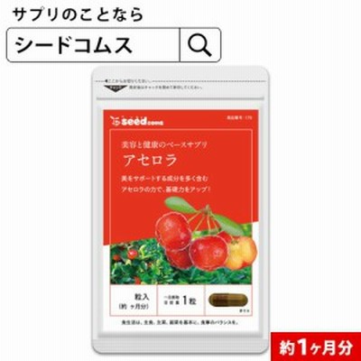 アセロラ ビタミンC 約1ヵ月分 サプリメント 美容 健康食品