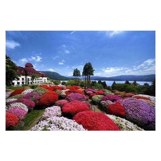 ふるさと納税 神奈川県 箱根町 山のホテルカレー 3個＆山のホテル ボロネーゼソース3個セット